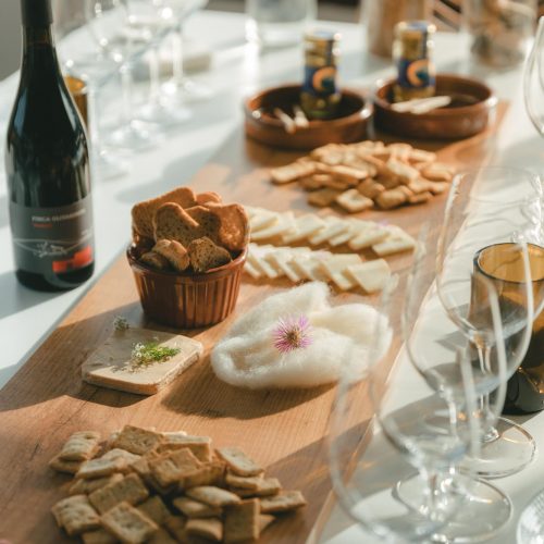 Foto mesa del "vermut gastronómico" que realizamos en la bodega Vinyes d'Olivardots