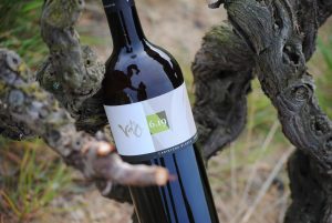 Foto botella vino blanco de la colección Vd'O varietales de terroir: Cariñena blanca con suelo arenisco.