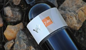 Foto botella vino blanco de la colección Vd'O varietales de terroir: Garnacha gris con suelo arenisco.