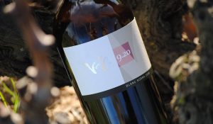 Foto botella vino blanco de la colección Vd'O varietales de terroir: Cariñena gris con suelo arenisco.