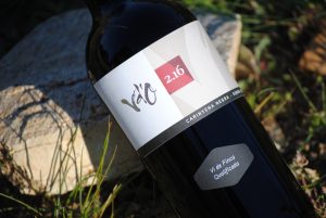 Foto botella vino tinto de la colección Vd'O varietales de terroir: Cariñena con suelo arenisco.