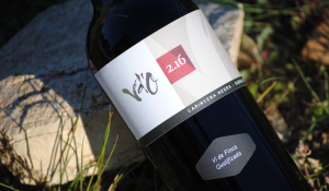 Foto botella vino tinto de la colección Vd'O varietales de terroir: Cariñena con suelo arenisco