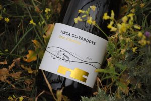 Foto botella vino blanco joven Groc d'Àmfora 2022 con flores detás