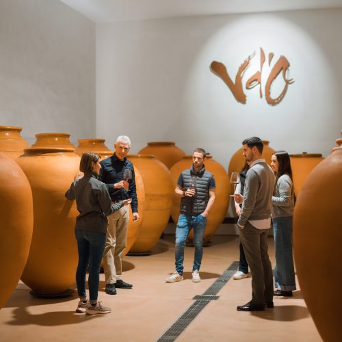 Visítanos y Cata 5 vinos